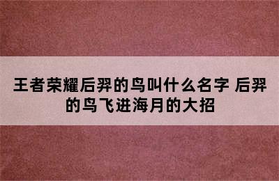 王者荣耀后羿的鸟叫什么名字 后羿的鸟飞进海月的大招